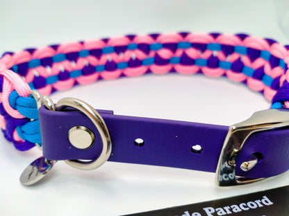 Dog Collar - Sadie's Posie