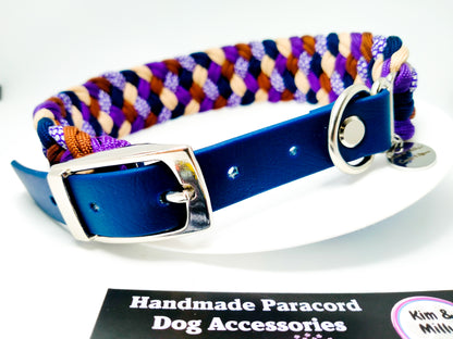 Dog Collar - Milly's Rainbow