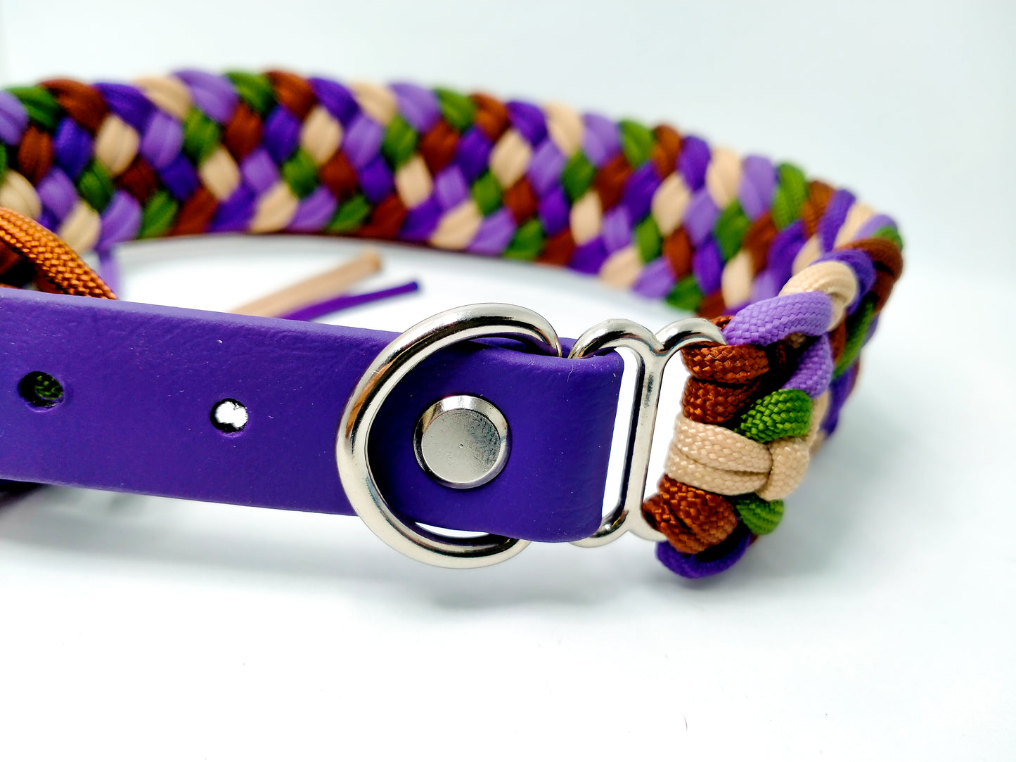 Dog Collar - Milly's Rainbow