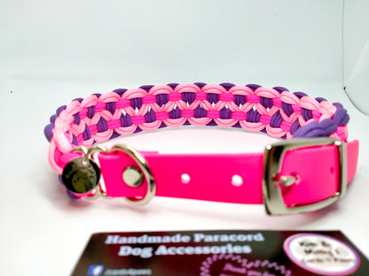 Dog Collar - Sadie's Posie