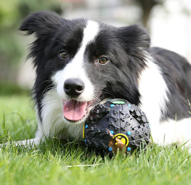 SNUFFLE FOR SHADOW: Giggle Treat Ball