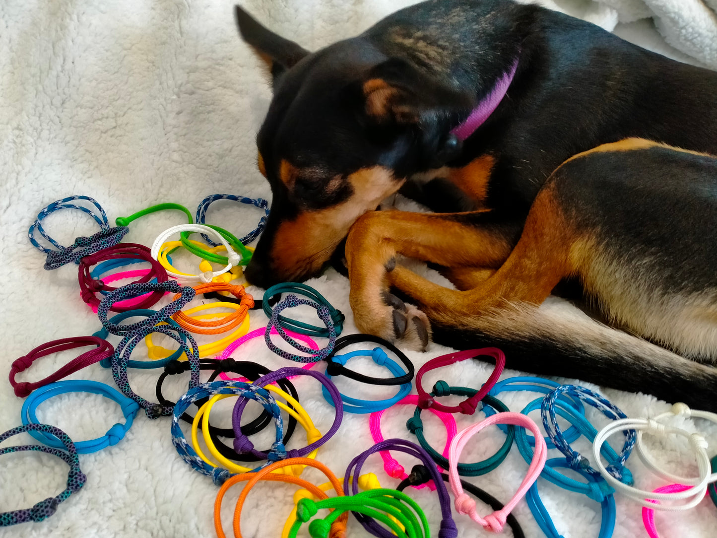 WHOLESALE Whelping Collars