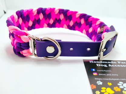 Dog Collar - Milly's Rainbow